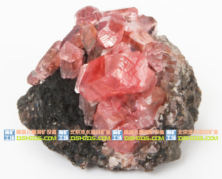 儿童淘矿科普.jpg 儿童淘矿科普