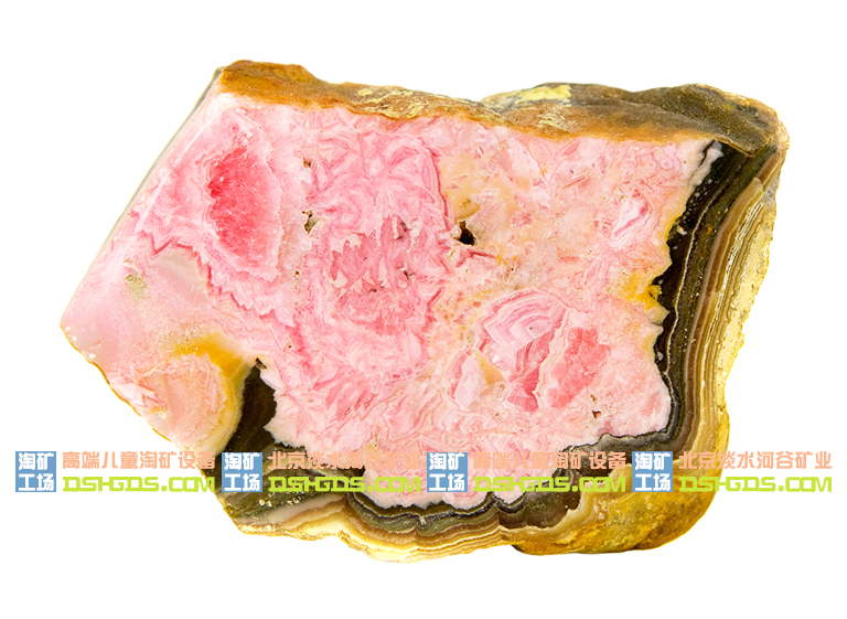 儿童淘矿科普.jpg 儿童淘矿科普