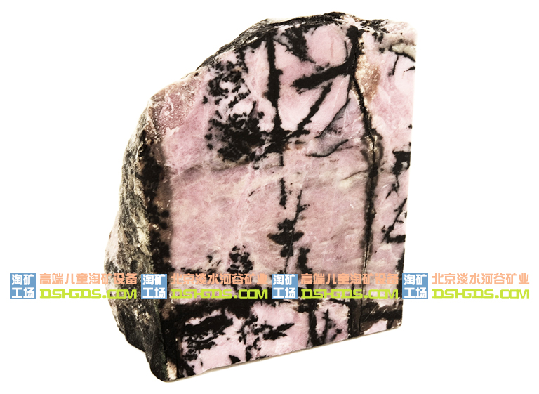 儿童淘矿科普.jpg 儿童淘矿科普