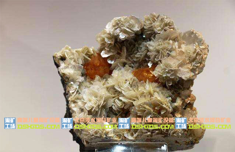 儿童淘矿科普.jpg 儿童淘矿科普