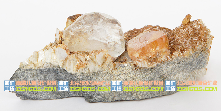 儿童淘矿科普.jpg 儿童淘矿科普