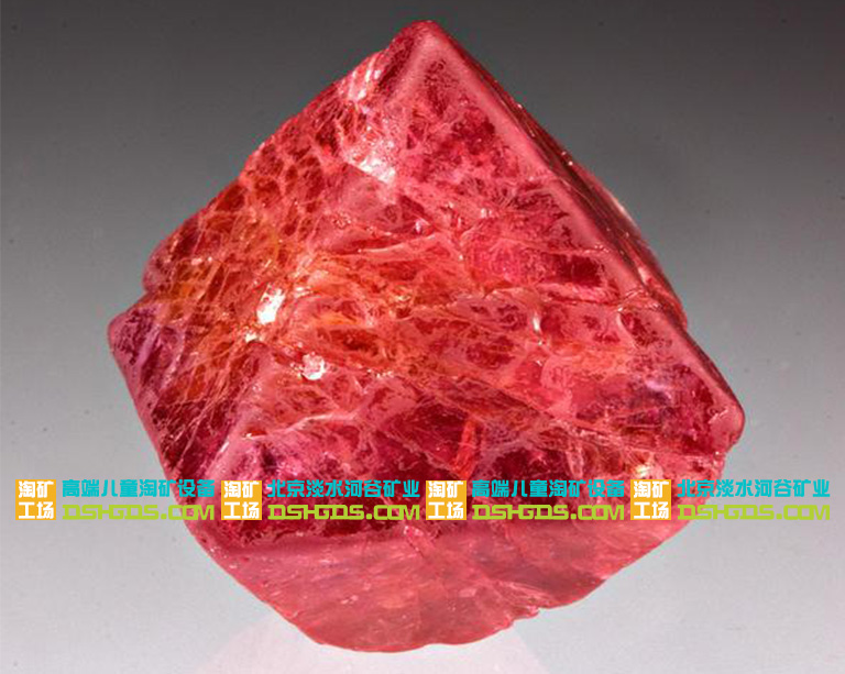 儿童淘矿科普.jpg 儿童淘矿科普