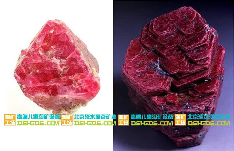 儿童淘矿科普.jpg 儿童淘矿科普