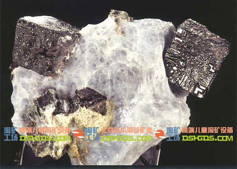 儿童淘矿科普.jpg 儿童淘矿科普