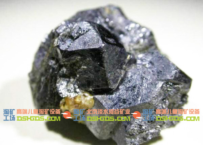 儿童淘矿科普.jpg 儿童淘矿科普