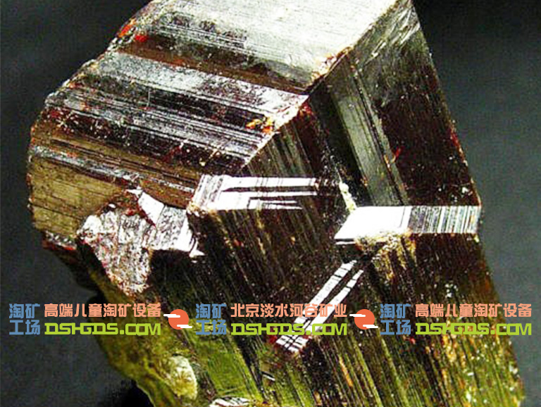 儿童淘矿科普.jpg 儿童淘矿科普