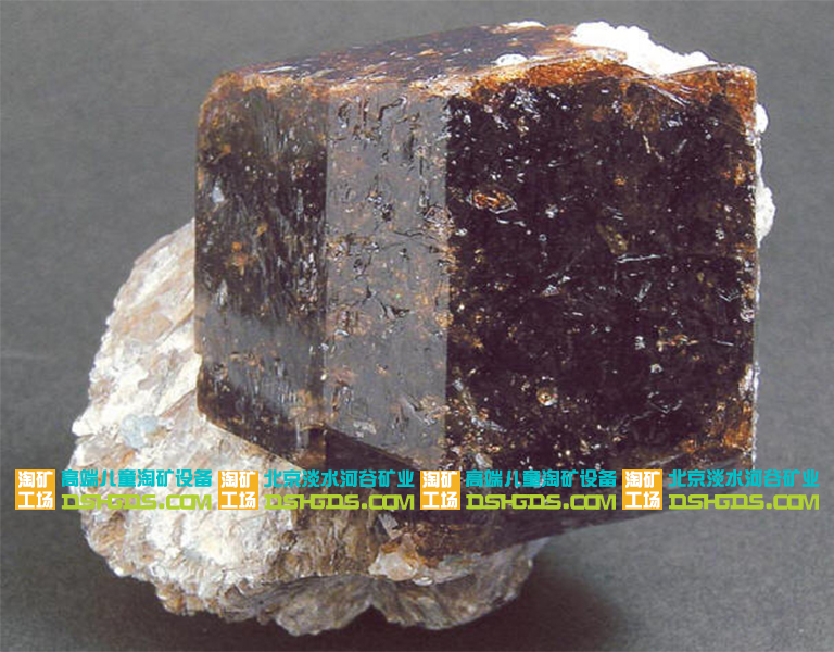 儿童淘矿科普.jpg 儿童淘矿科普