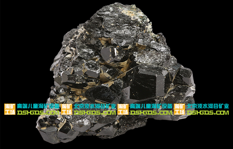 儿童淘矿科普.jpg 儿童淘矿科普