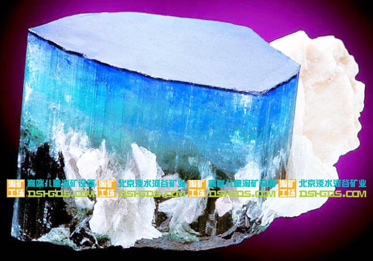 儿童淘矿科普.jpg 儿童淘矿科普