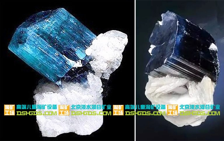 儿童淘矿科普.jpg 儿童淘矿科普