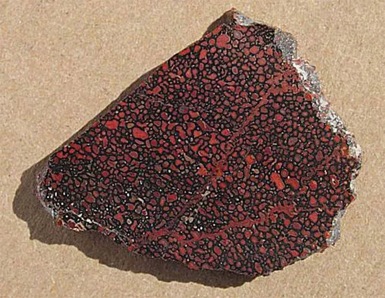 恐龙骨.jpg 恐龙骨