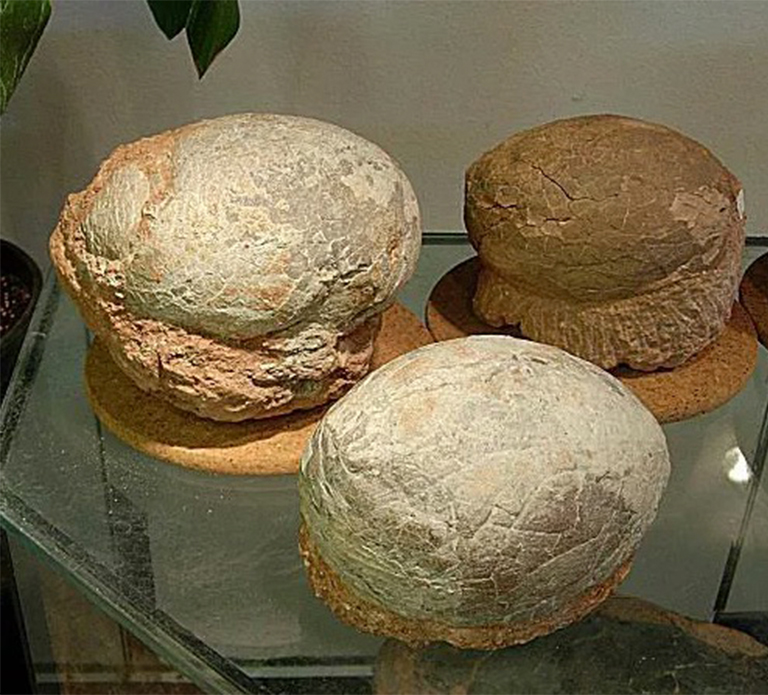 恐龙蛋.jpg 恐龙蛋