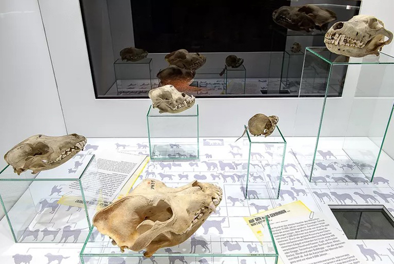 儿童淘矿科普.jpg 儿童淘矿科普