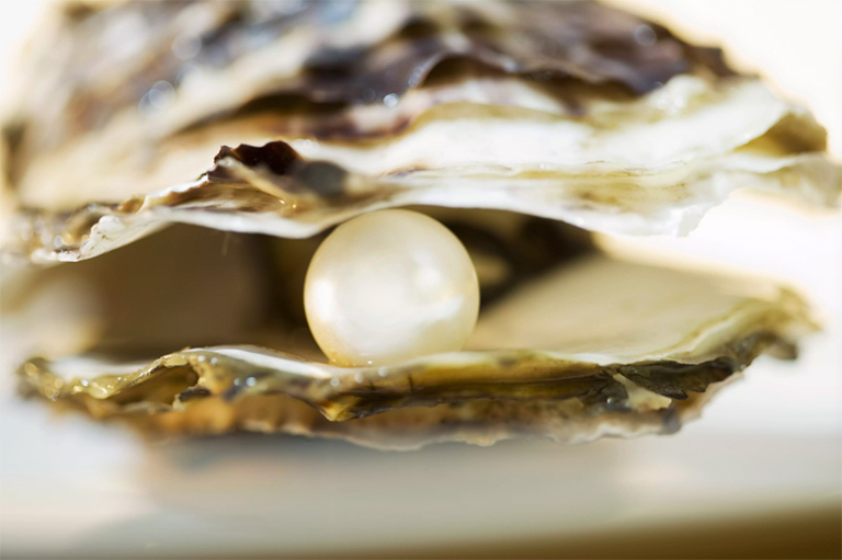 珍珠壳.jpg 珍珠壳