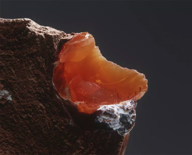 儿童淘矿科普.jpg 儿童淘矿科普