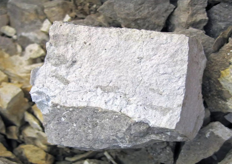 白垩白大块在其他岩石之中.jpg 白垩白大块在其他岩石之中