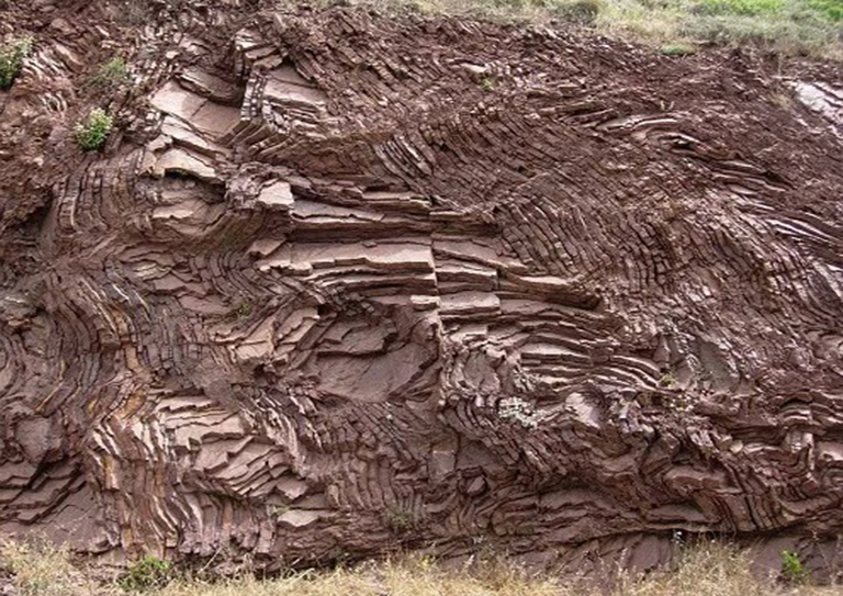 在一个山坡的被折叠的红色白桦树在一个晴天.jpg 在一个山坡的被折叠的红色白桦树在一个晴天