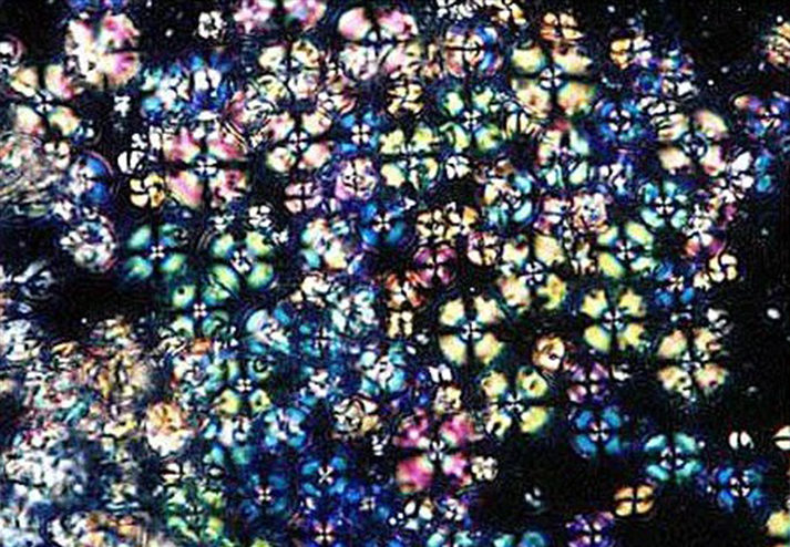 液晶-向列相.jpg 液晶-向列相