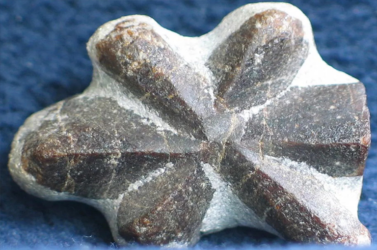 恒星石.jpg 恒星石