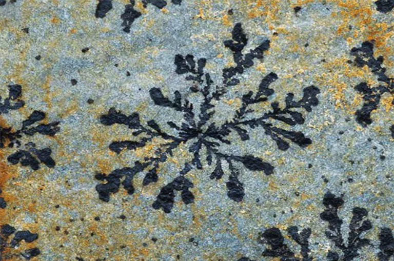 氧化锰.jpg 氧化锰