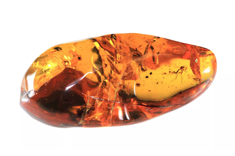 一块琥珀.jpg 一块琥珀