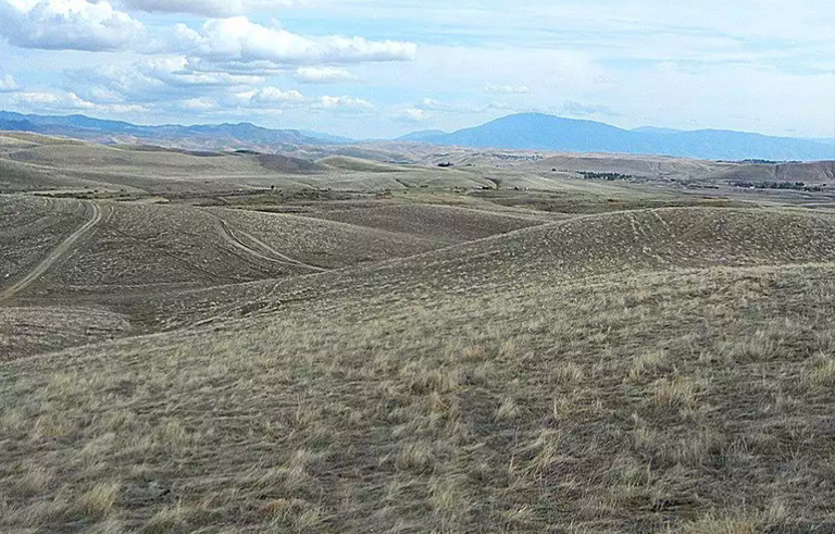 鲨牙山:环境.jpg 鲨牙山:环境