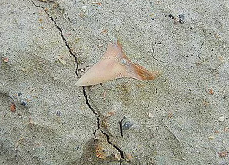 终于自由了.jpg 终于自由了