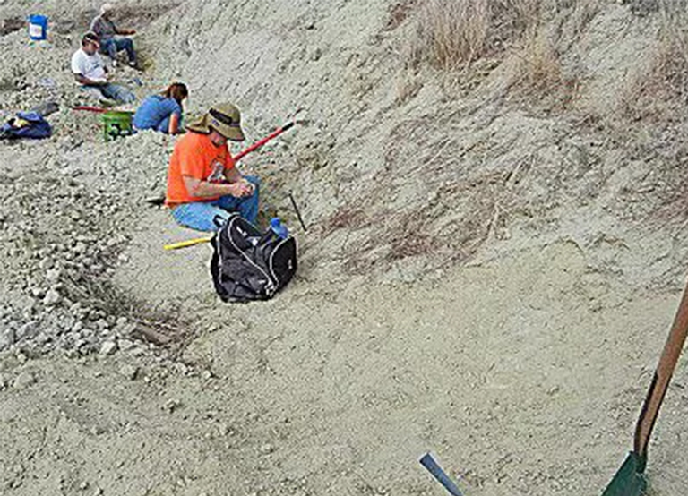 寻找骨头.jpg 寻找骨头