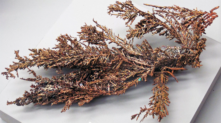 近距离查看树枝状铜片