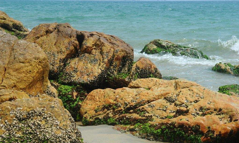 儿童淘矿科普.jpg 儿童淘矿科普