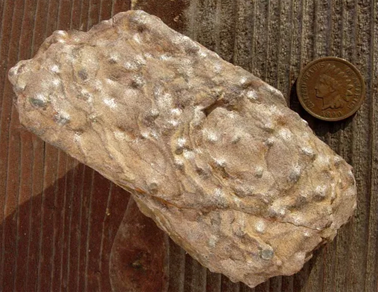 绢云母.jpg 绢云母