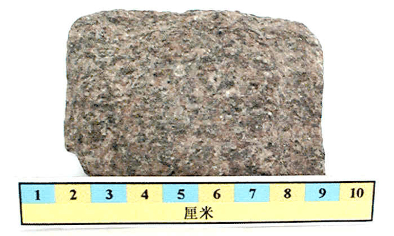 儿童淘矿科普.jpg 儿童淘矿科普