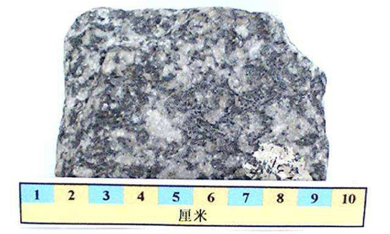 儿童淘矿科普.jpg 儿童淘矿科普