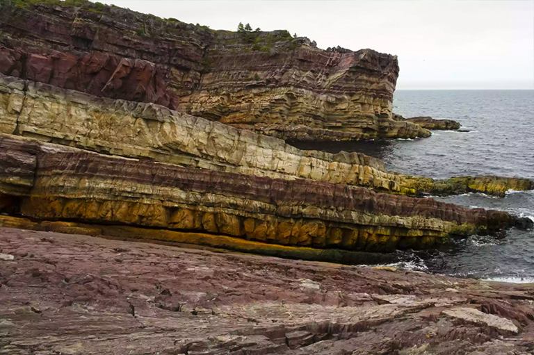 纽芬兰国王湾的多彩页岩.jpg 纽芬兰国王湾的多彩页岩