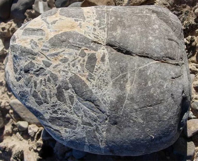 布雷西亚.jpg 布雷西亚