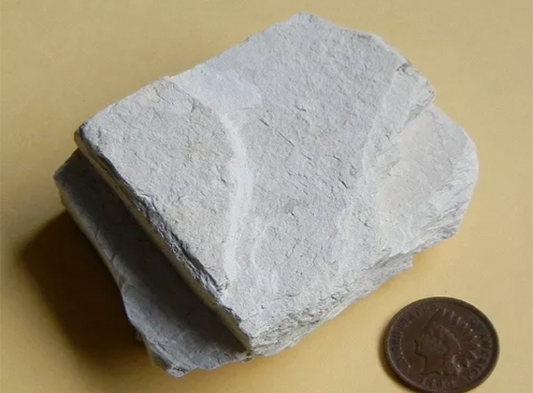 硅藻土.jpg 硅藻土