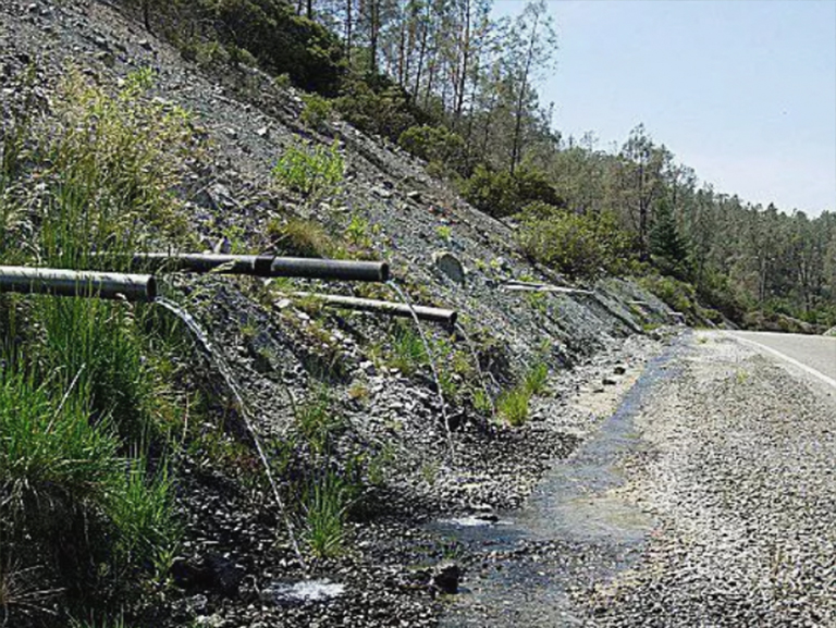 减少水分含量会减慢其运动速度