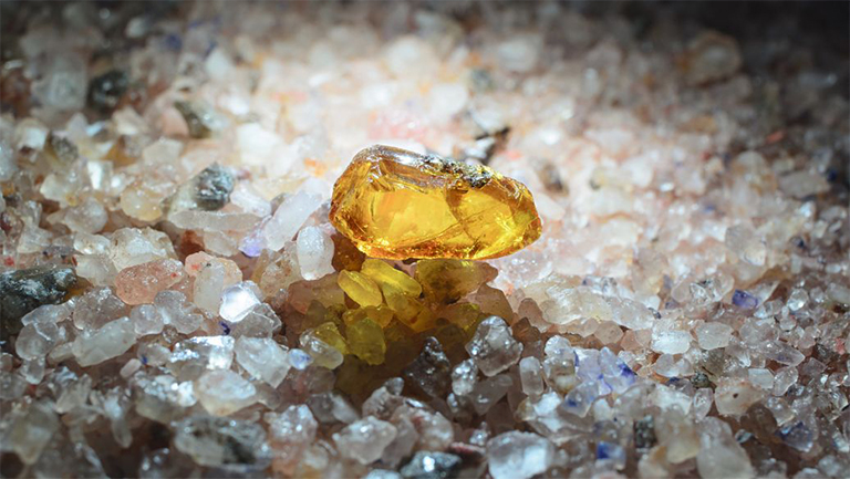 儿童淘矿科普.jpg 儿童淘矿科普