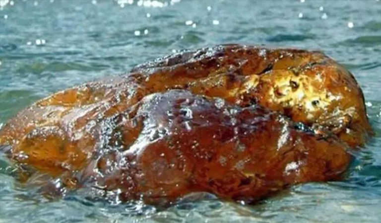 儿童淘矿科普.jpg 儿童淘矿科普