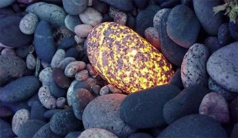 儿童淘矿科普.jpg 儿童淘矿科普