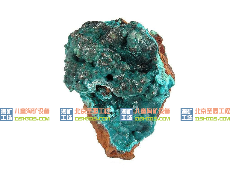 儿童淘矿.jpg 儿童淘矿