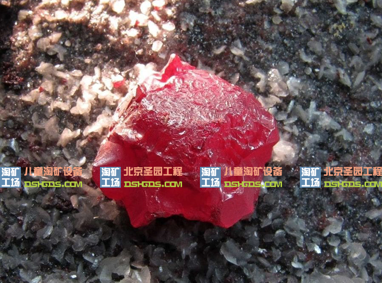 淘矿工场科普.jpg 淘矿工场科普