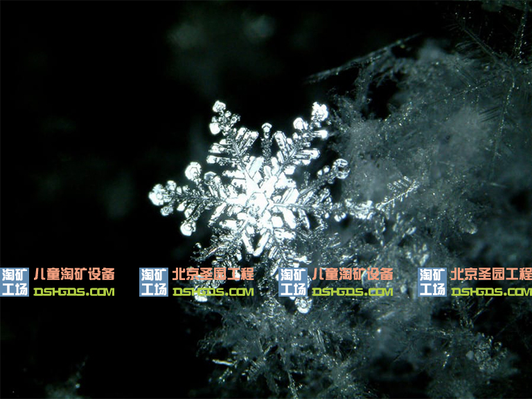 淘矿工场科普.jpg 淘矿工场科普