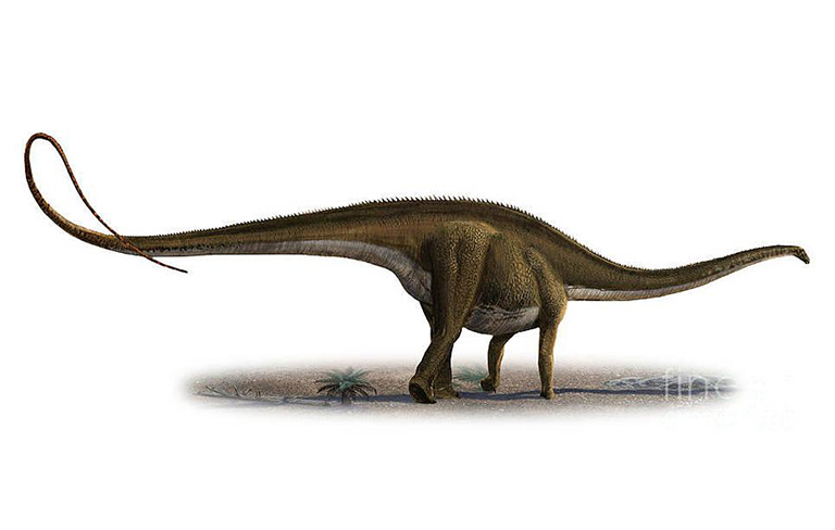 恐龙考古科普.jpg 恐龙考古科普