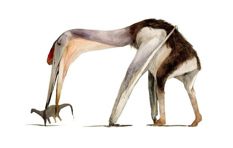 恐龙考古科普.jpg 恐龙考古科普