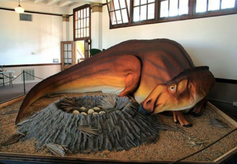 恐龙考古科普.jpg 恐龙考古科普