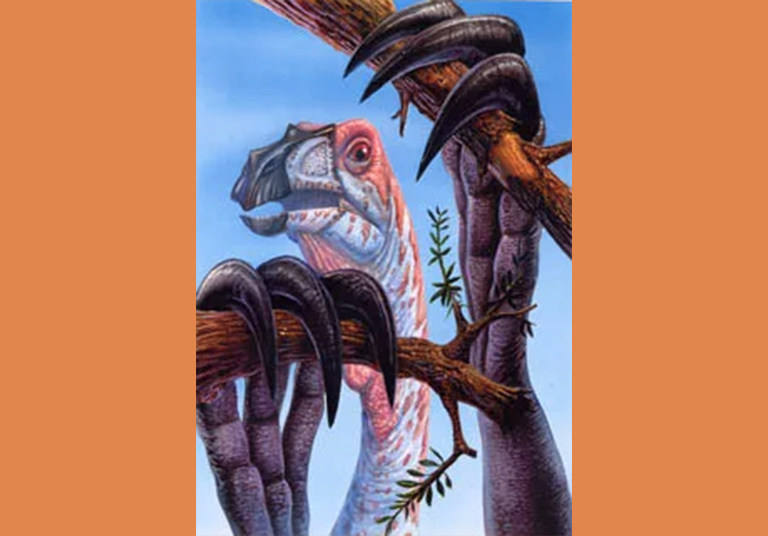 恐龙考古桌.jpg 恐龙考古桌