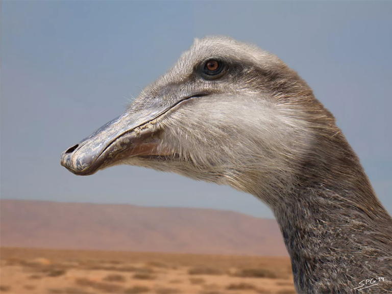 恐龙考古桌.jpg 恐龙考古桌