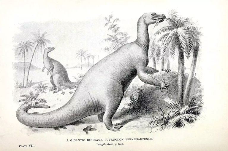 雕塑知识.jpg 雕塑知识