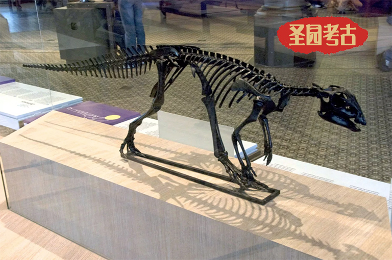 雕塑知识.jpg 雕塑知识